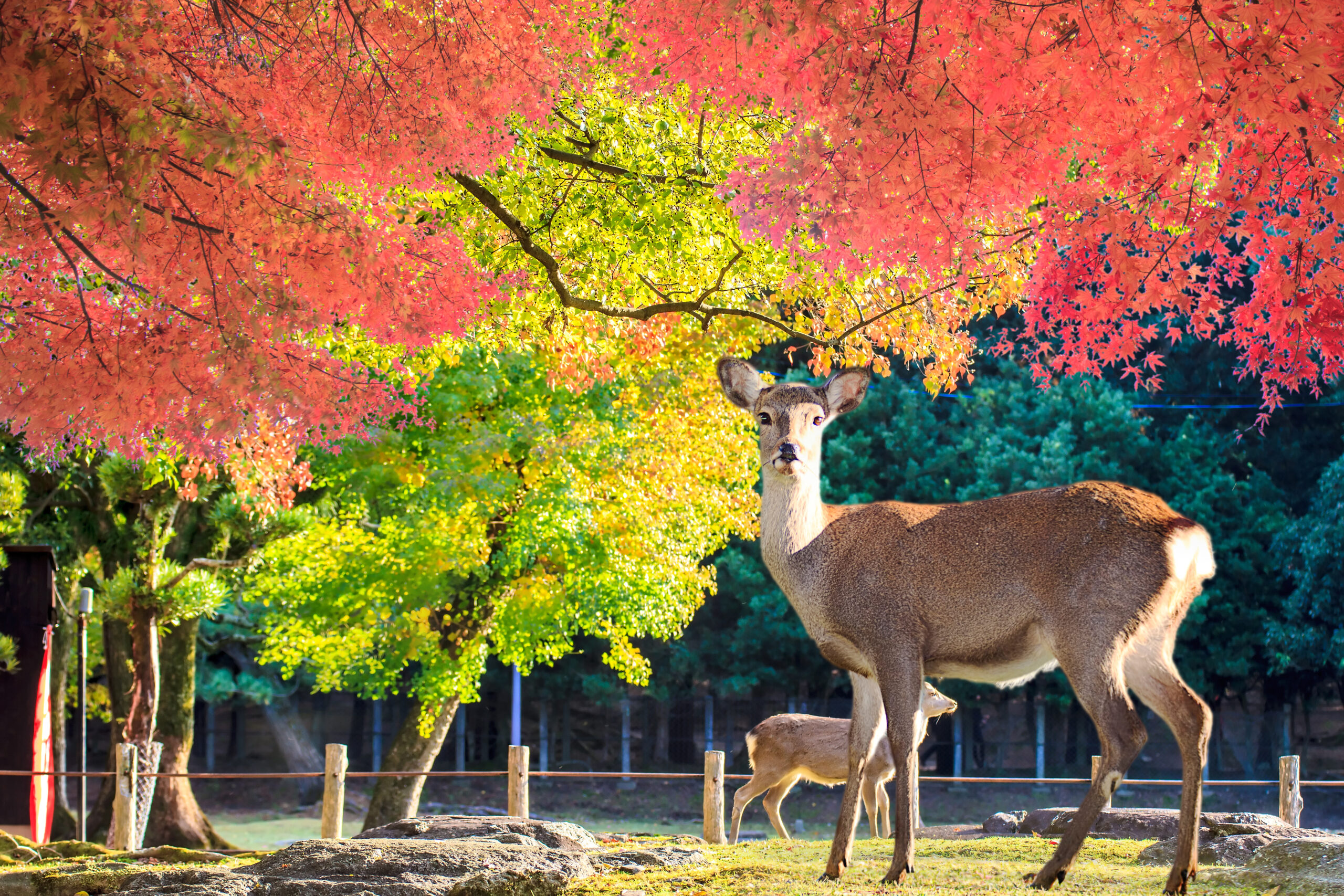 奈良県